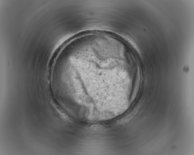 X0000090870974200708171622