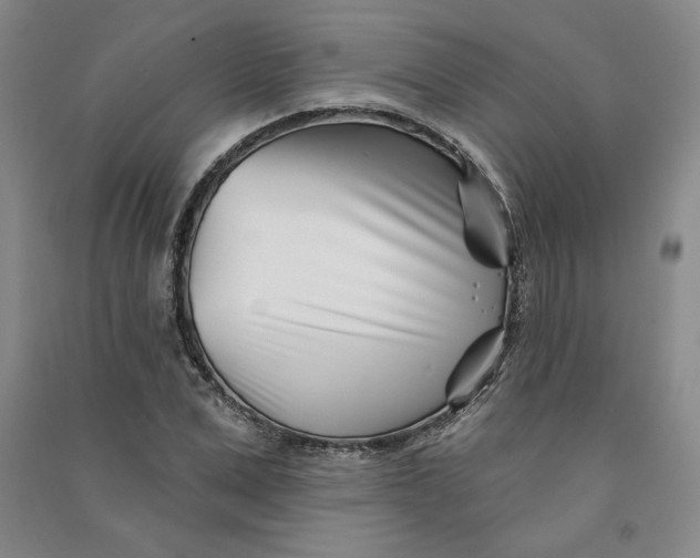 X0000090870975200708171622