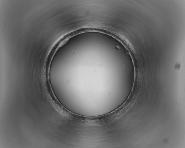 X0000090870976200708171622