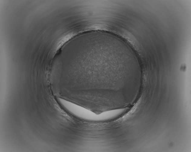 X0000090870977200708171622