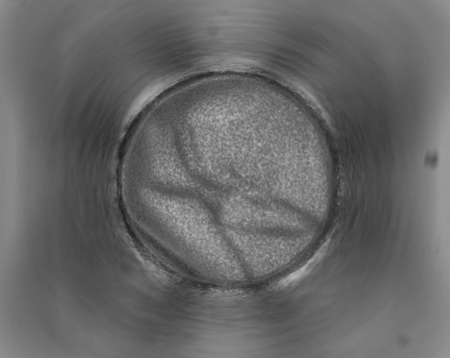 X0000090870978200708171622