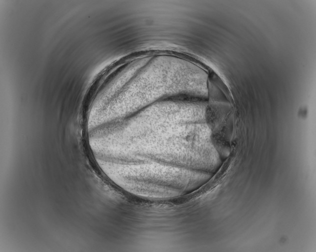 X0000090870979200708171622