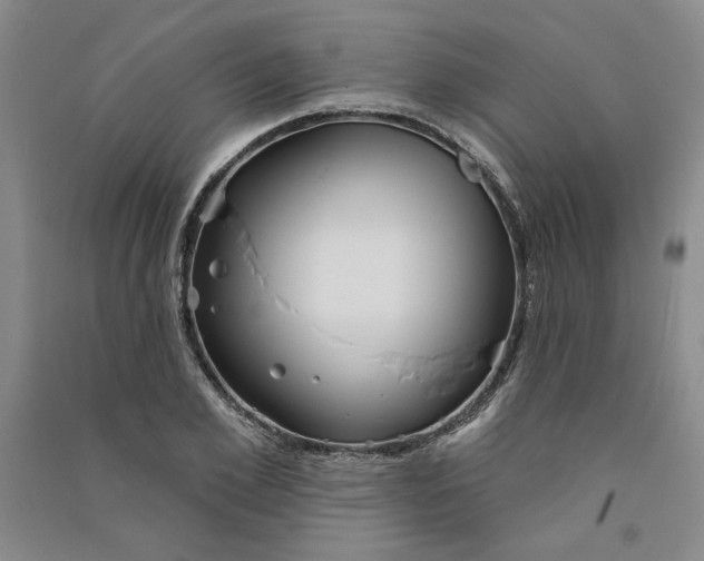 X0000090870981200708171622