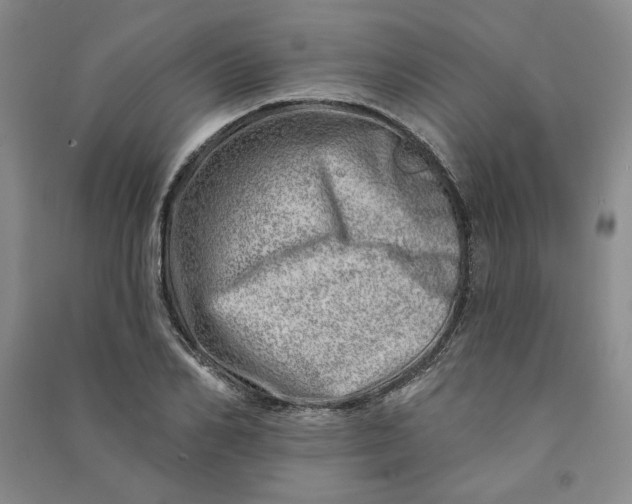 X0000090870982200708171622