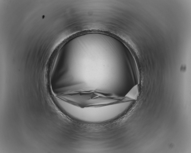 X0000090870983200708171622