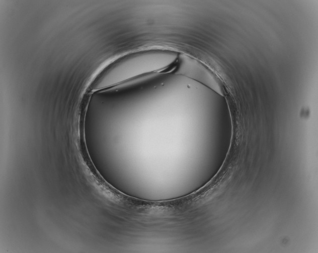 X0000090870984200708171622