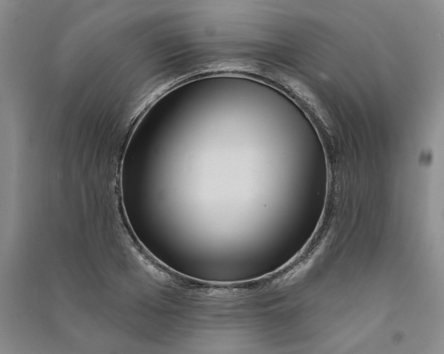 X0000090870985200708171622