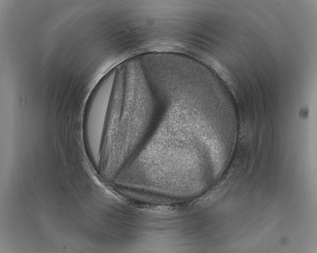 X0000090870986200708171622