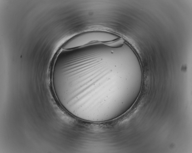 X0000090870987200708171622