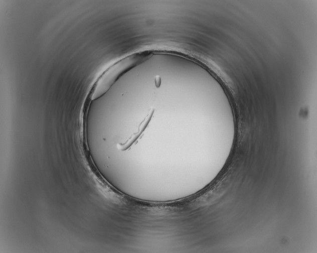 X0000090870988200708171622