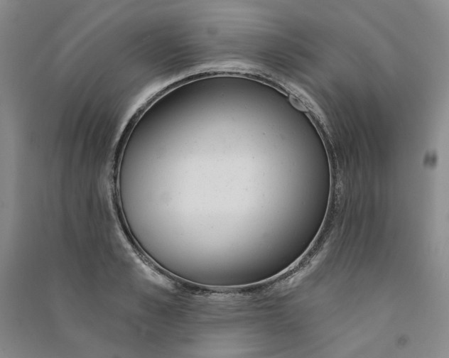 X0000090870989200708171622