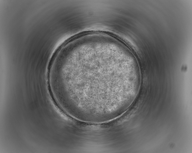 X0000090870990200708171622