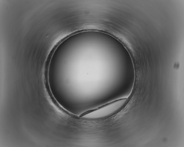 X0000090870991200708171622