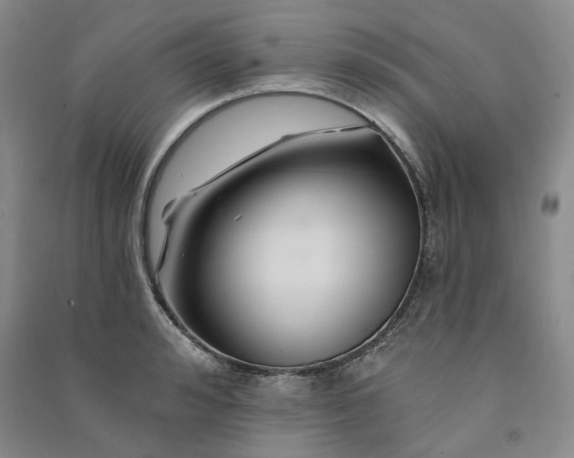 X0000090870992200708171622