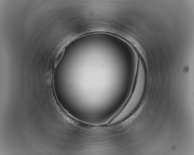 X0000090870993200708171622