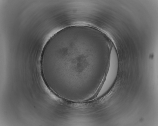 X0000090870995200708171622