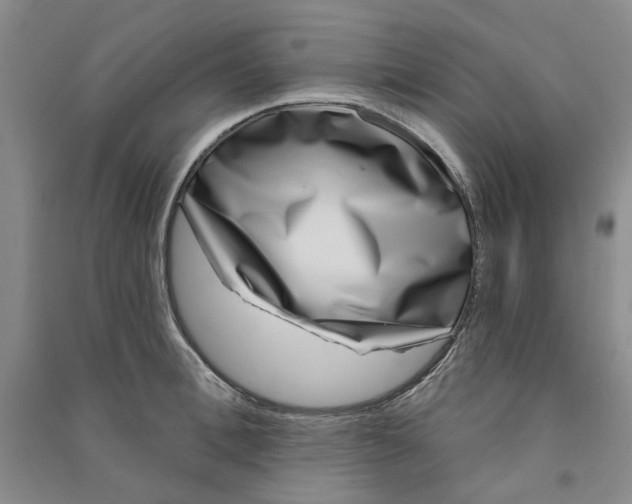 X0000090870996200708171622