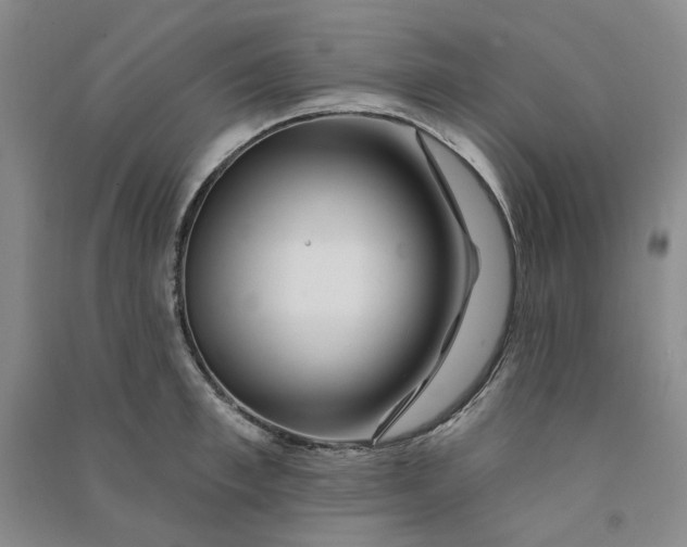 X0000090870997200708171622