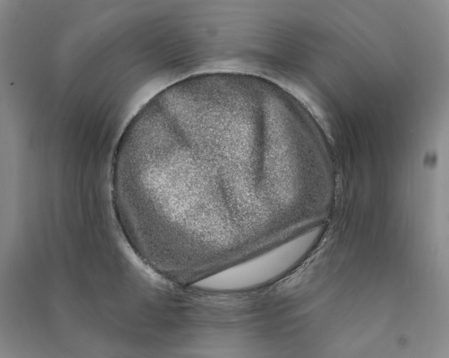 X0000090870998200708171622