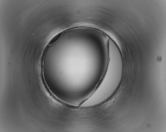 X0000090870999200708171622