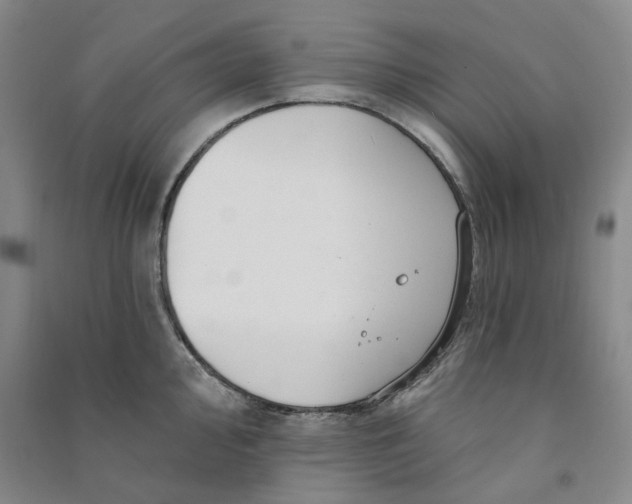 X0000090871000200708171622