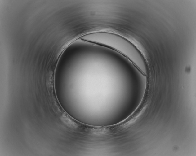 X0000090871001200708171622