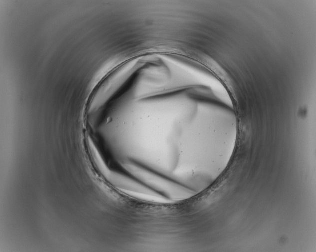 X0000090871002200708171621