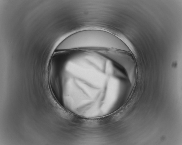 X0000090871004200708171621