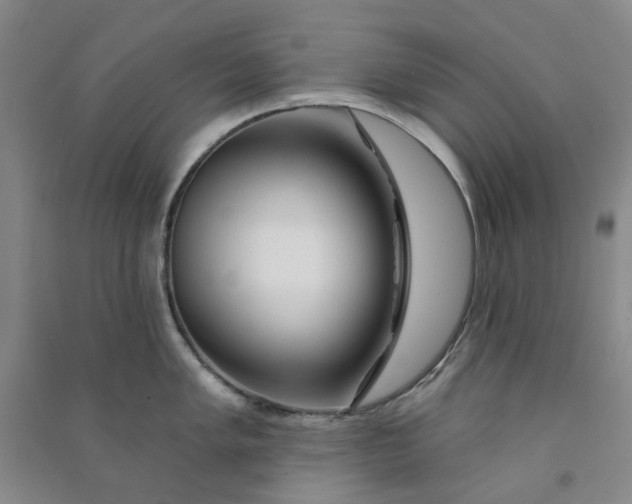 X0000090871005200708171621