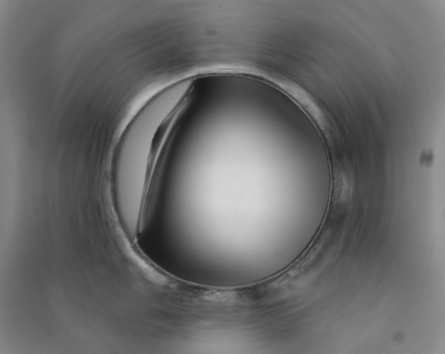 X0000090871006200708171621