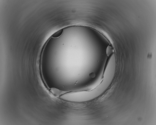 X0000090871007200708171621