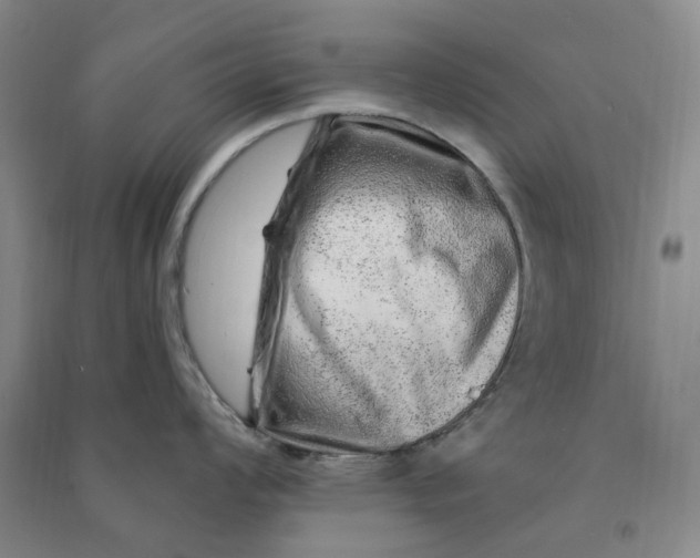 X0000090871008200708171621