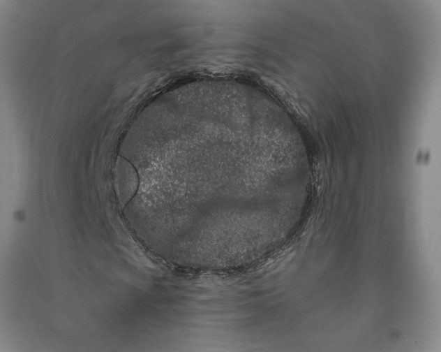 X0000090871009200708171621