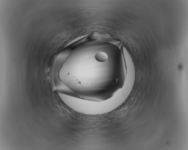 X0000090871010200708171621