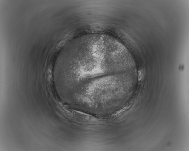 X0000090871011200708171621