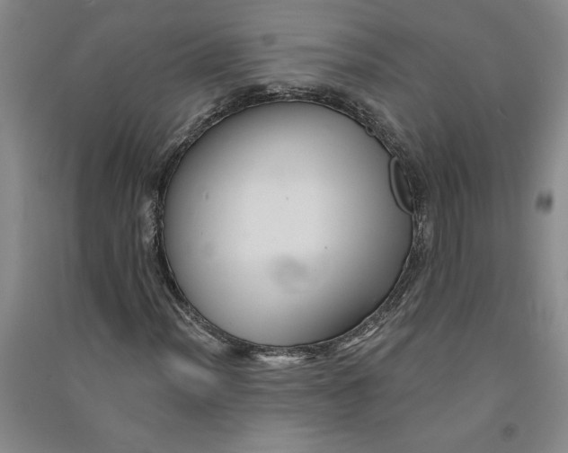 X0000090871012200708171621