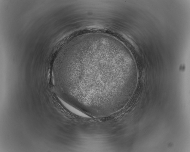 X0000090871015200708171621