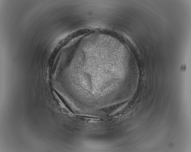 X0000090871016200708171621