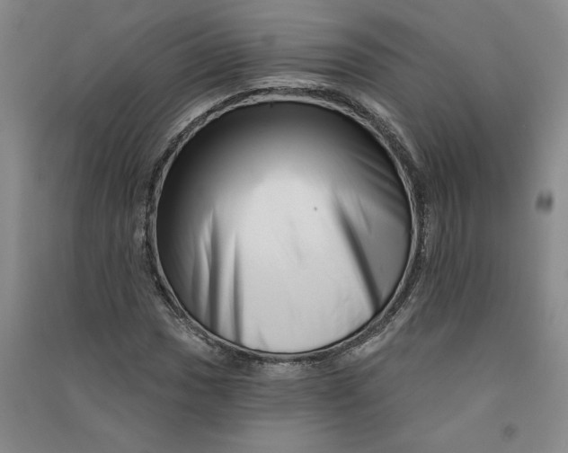 X0000090871017200708171621