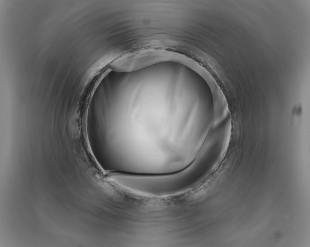 X0000090871018200708171621