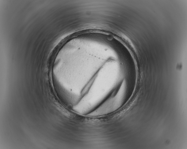 X0000090871019200708171621