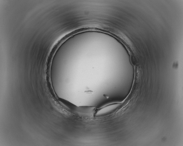 X0000090871020200708171621