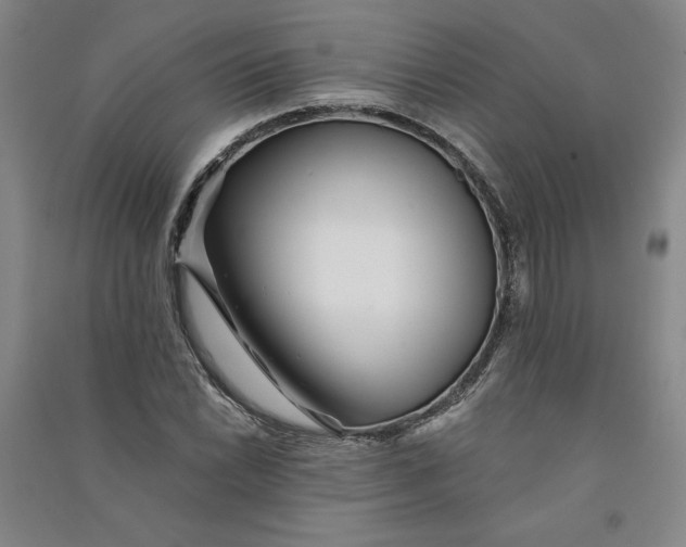 X0000090871022200708171621