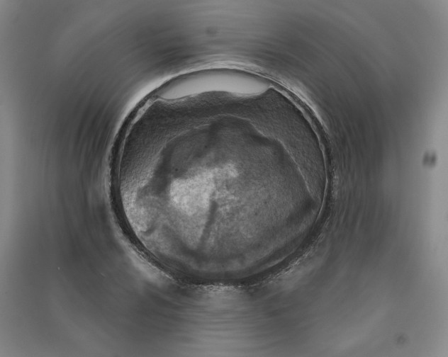 X0000090871024200708171621