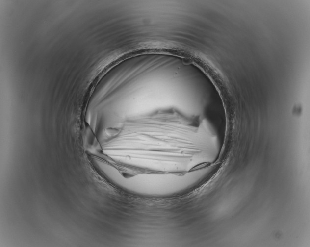 X0000090871025200708171621