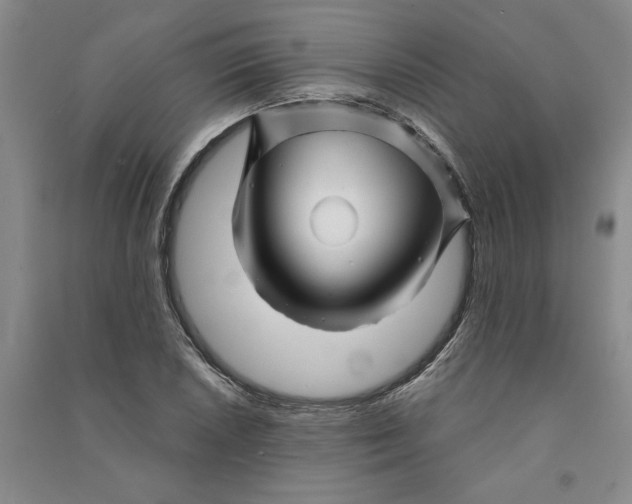 X0000090871026200708171621