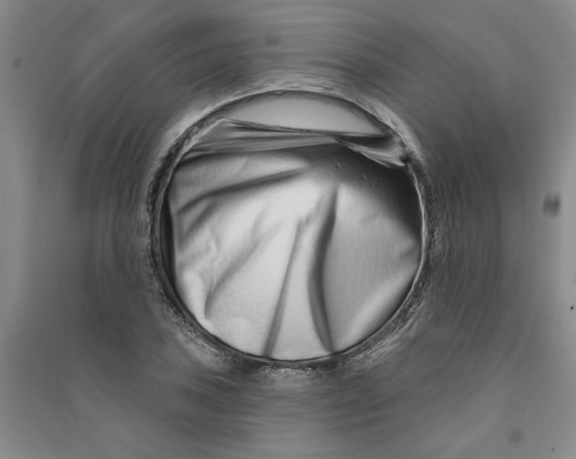 X0000090871027200708171621