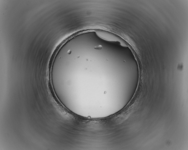 X0000090871028200708171621