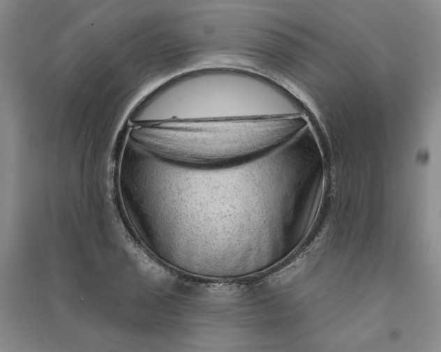 X0000090871029200708171621