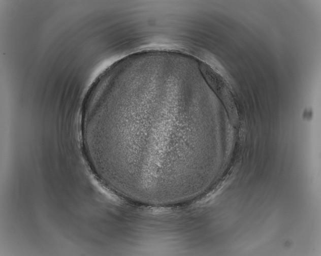 X0000090871030200708171621